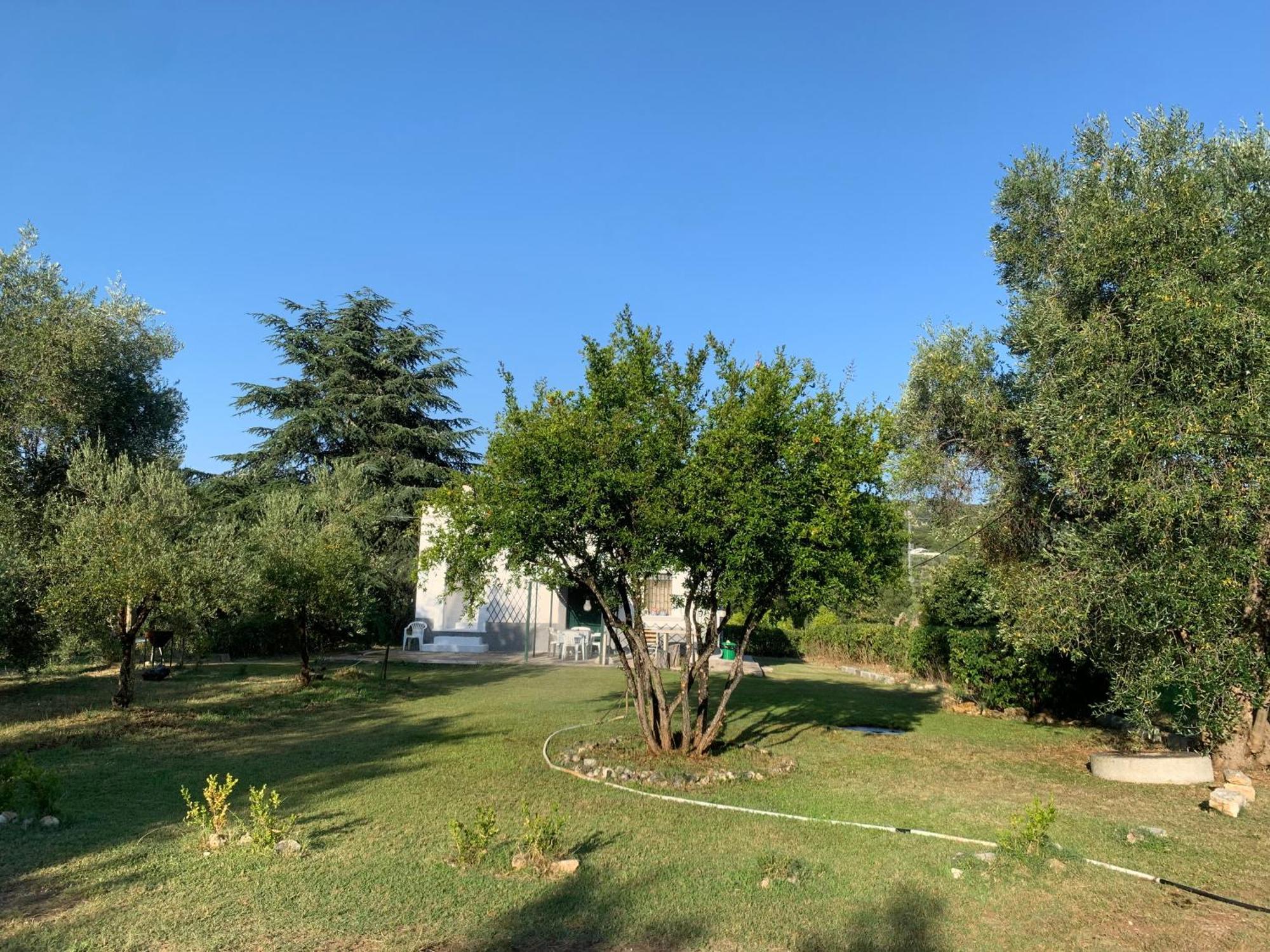 Casa Colonica Di Campagna Come Era Una Volta ペスキチ エクステリア 写真